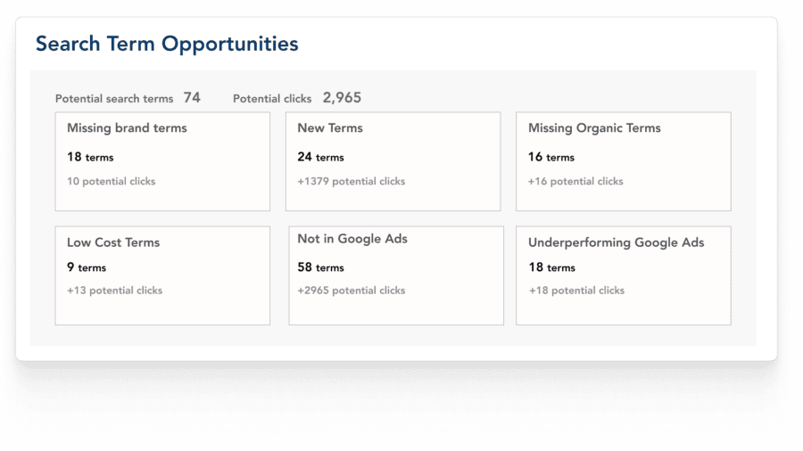 Complete visibility across your search term universe.